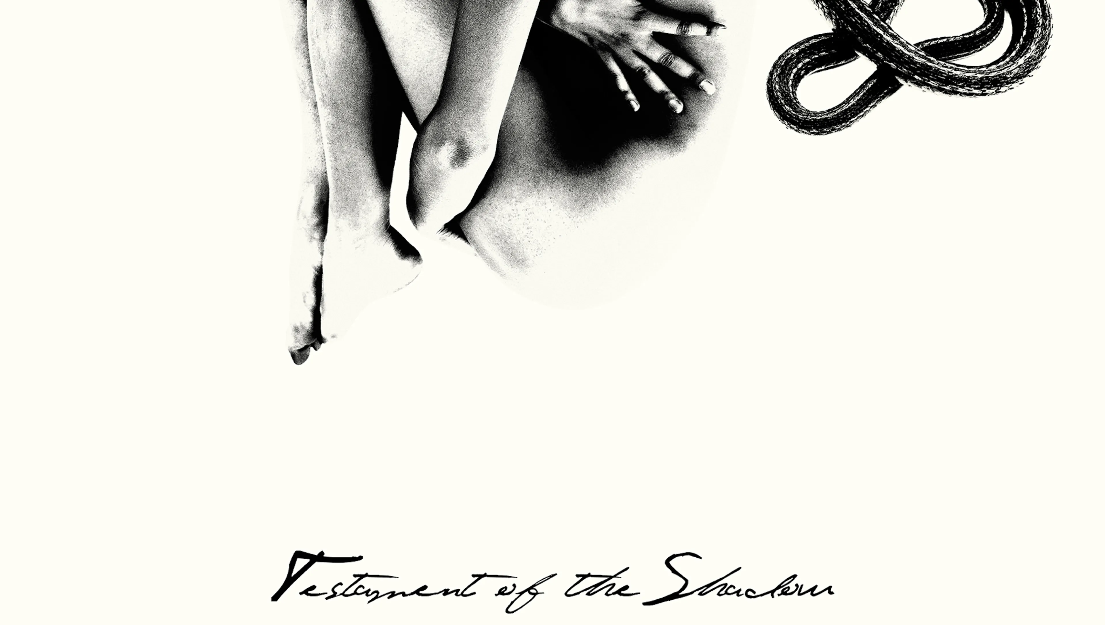 Testament of the Shadow poster